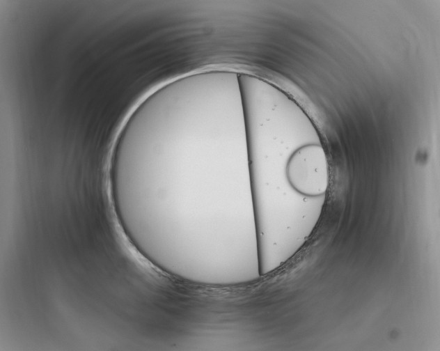 X0000097670955200803211939