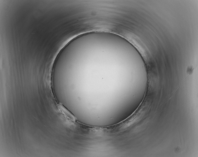 X0000097670956200803211939