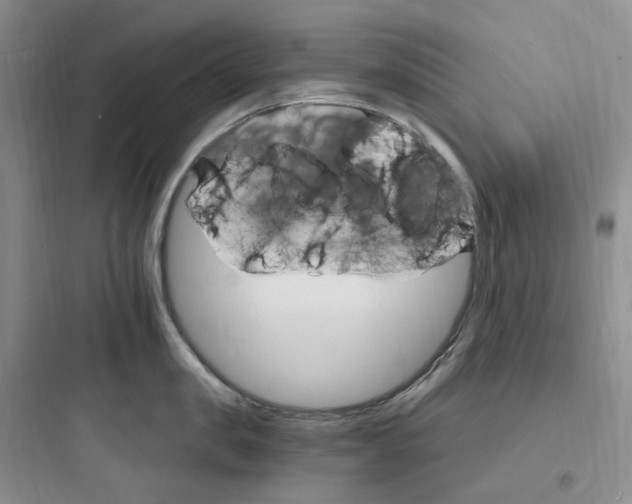 X0000097670957200803211939