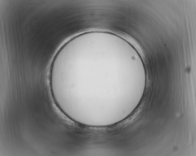 X0000097670958200803211939