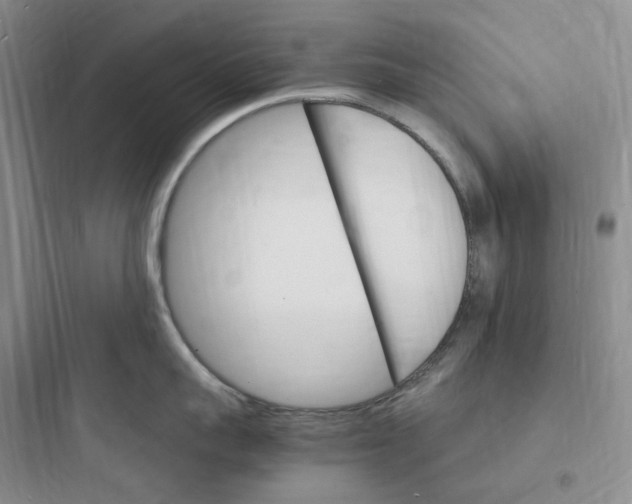 X0000097670959200803211939