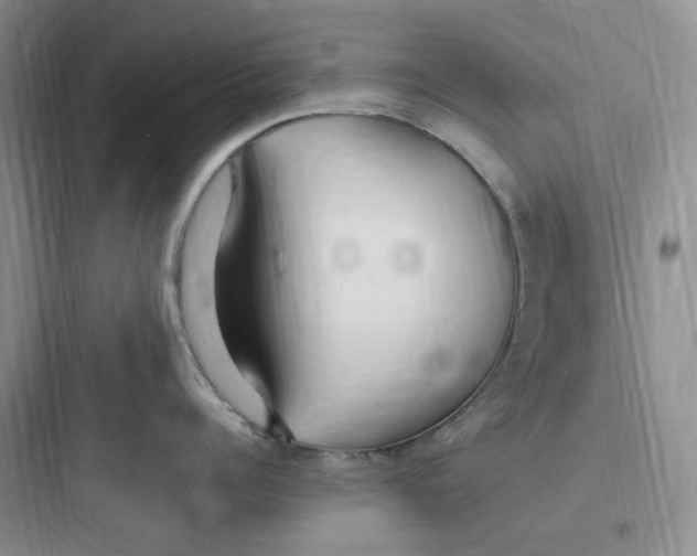 X0000097670960200803211939