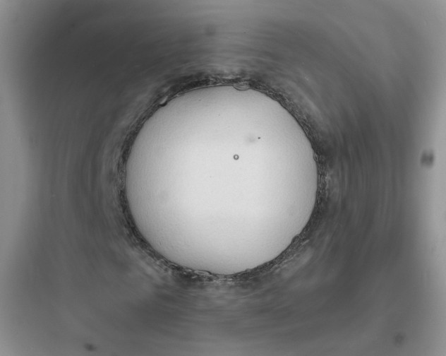 X0000097670961200803211939