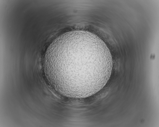 X0000097670962200803211939