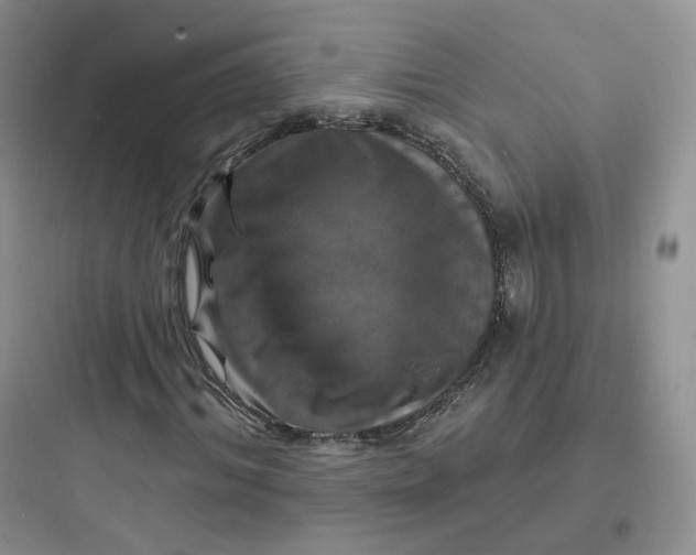 X0000097670964200803211939