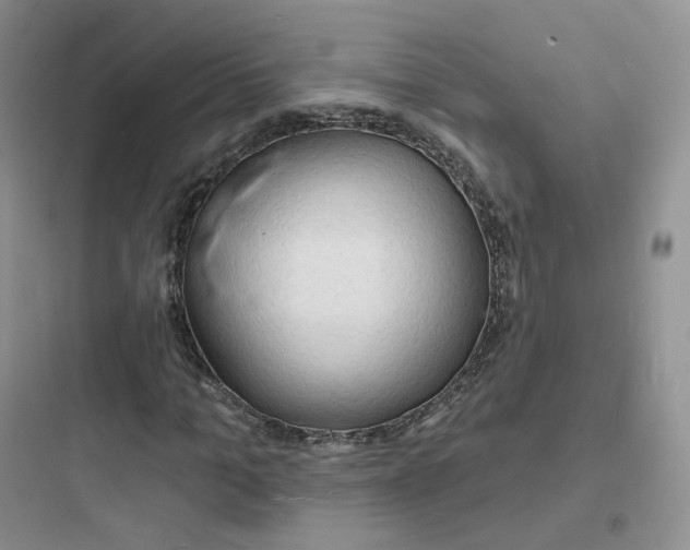 X0000097670965200803211939