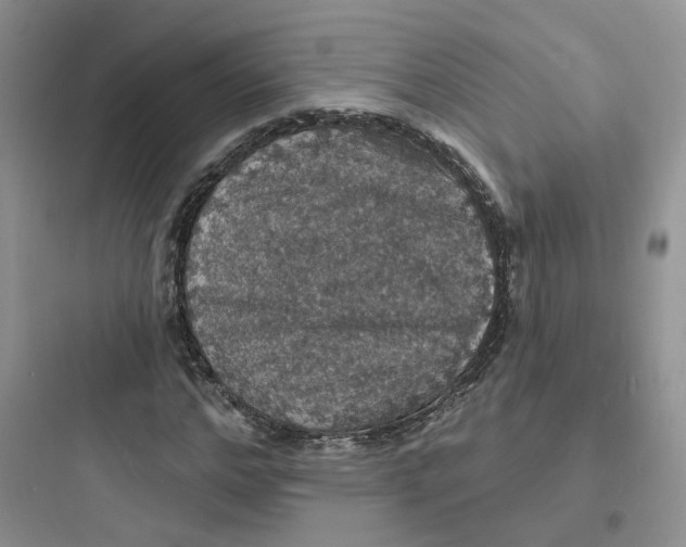 X0000097670968200803211939