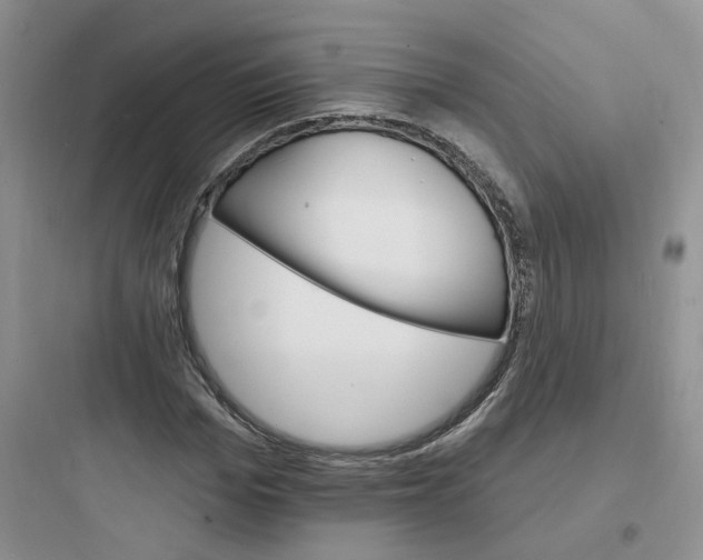 X0000097670969200803211939