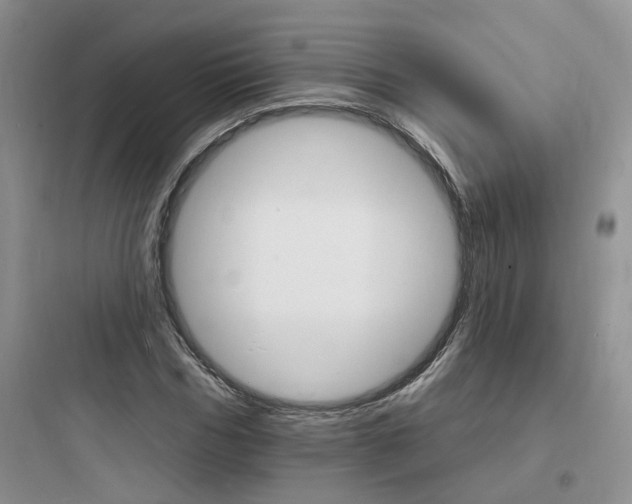 X0000097670970200803211939