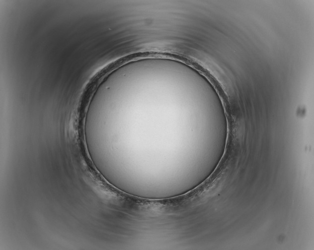 X0000097670971200803211939