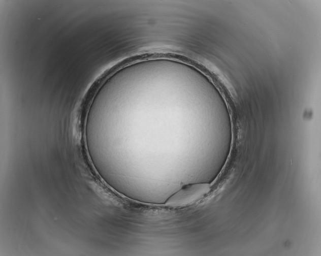 X0000097670973200803211939