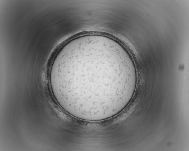 X0000097670974200803211939