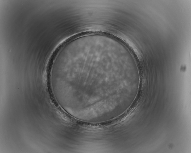 X0000097670975200803211939