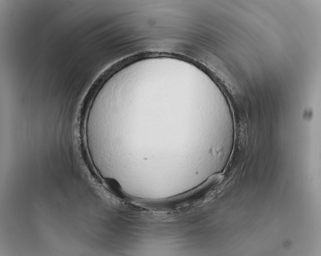 X0000097670976200803211939