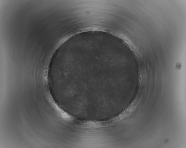 X0000097670977200803211939