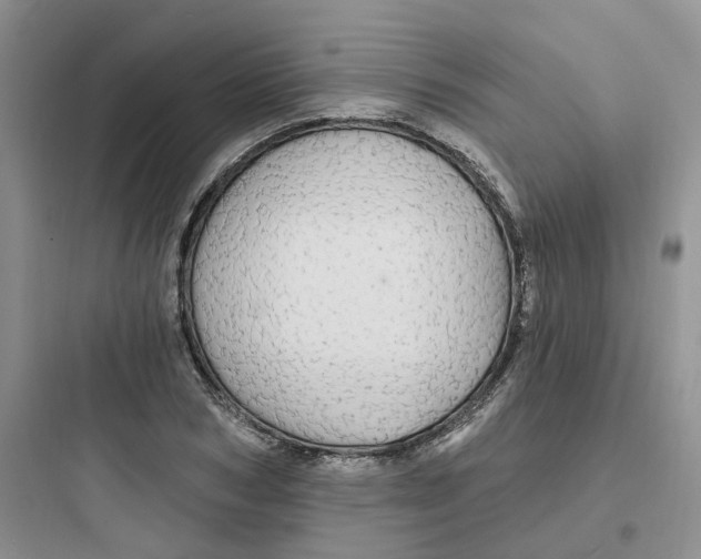 X0000097670978200803211939