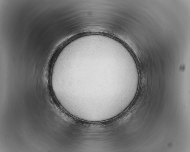 X0000097670979200803211939