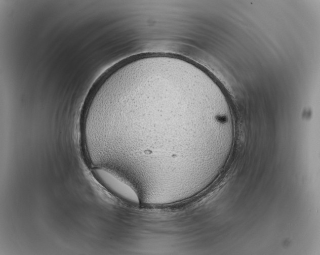 X0000097670980200803211939