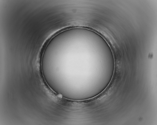 X0000097670981200803211939