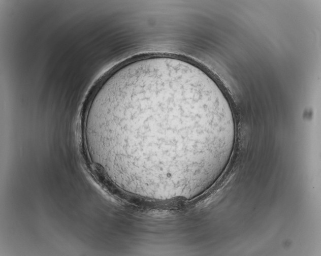 X0000097670982200803211938