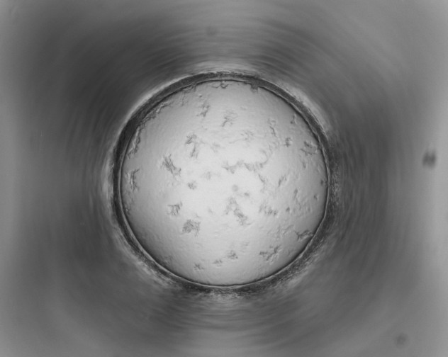 X0000097670983200803211938