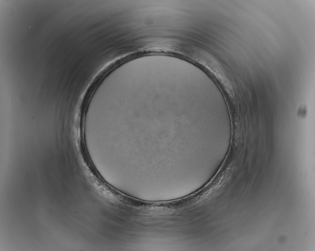 X0000097670984200803211938