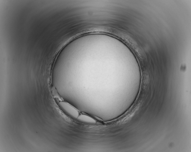 X0000097670985200803211938