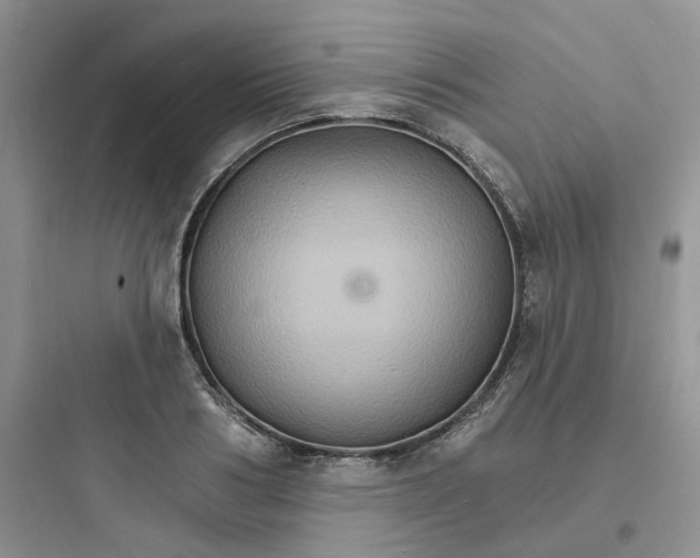 X0000097670986200803211938