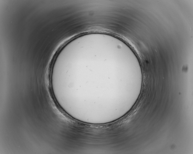 X0000097670987200803211938