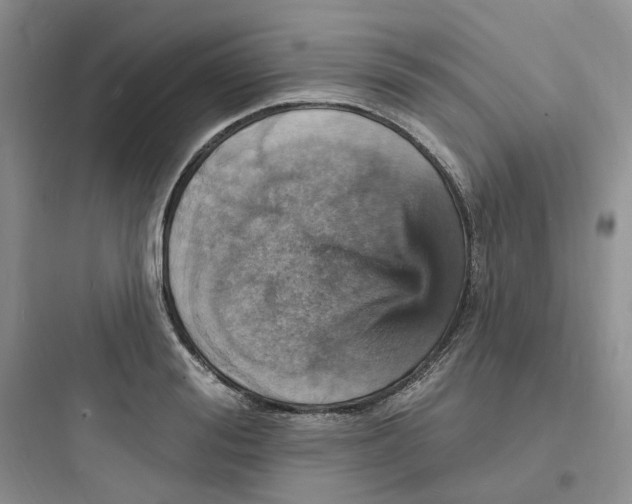 X0000097670988200803211938