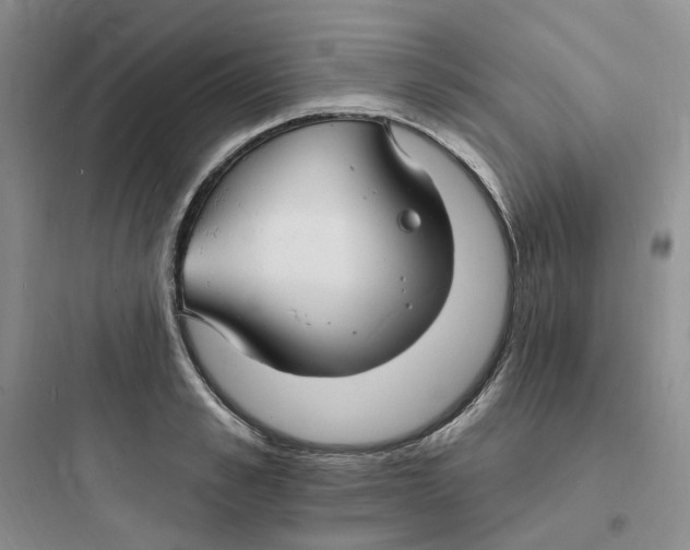 X0000097670989200803211938