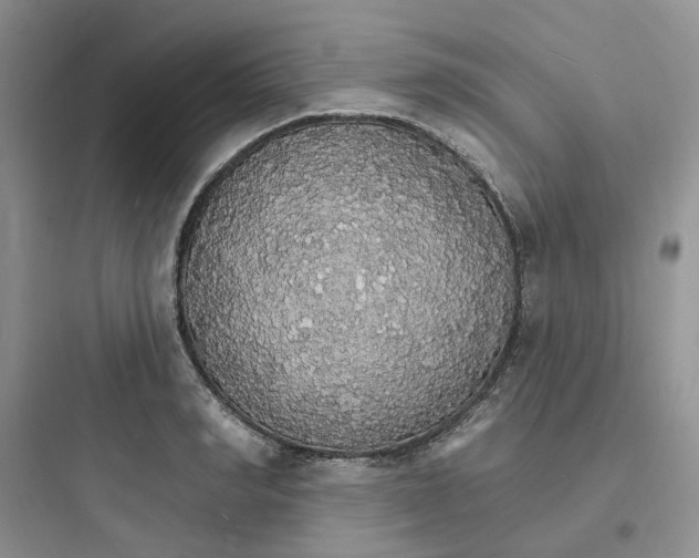 X0000097670990200803211938