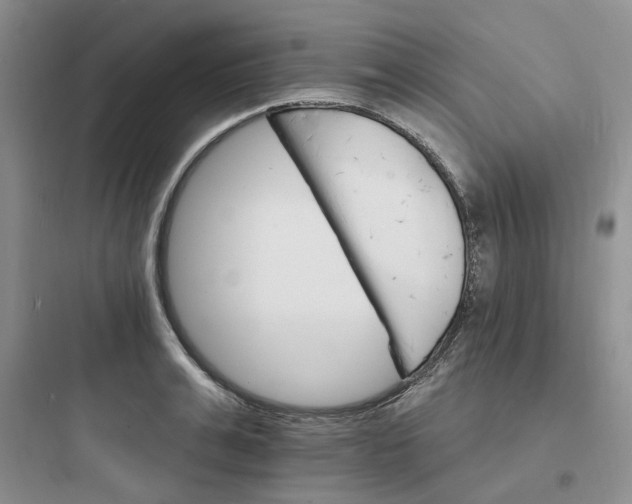 X0000097670991200803211938