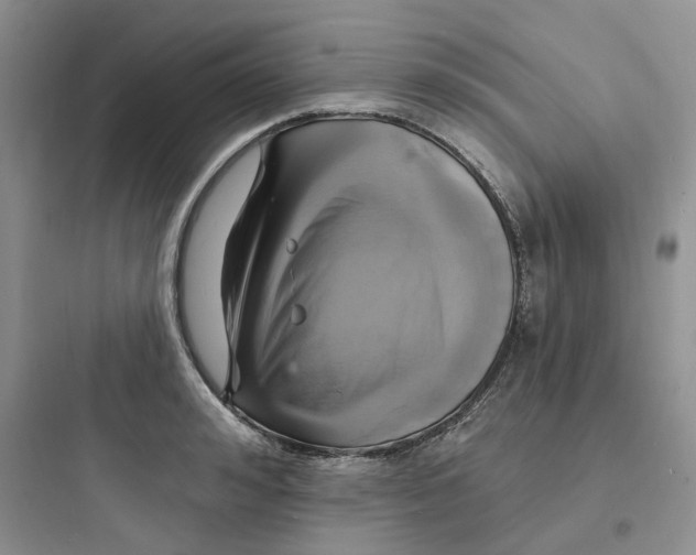 X0000097670992200803211938