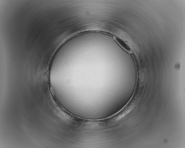 X0000097670993200803211938