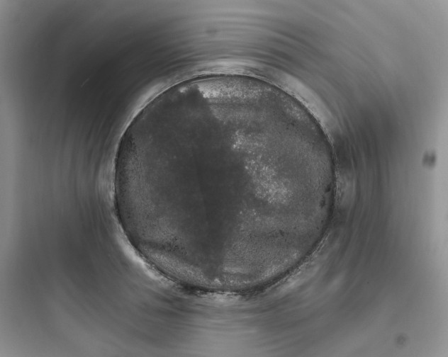 X0000097670994200803211938