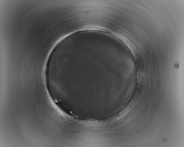 X0000097670995200803211938