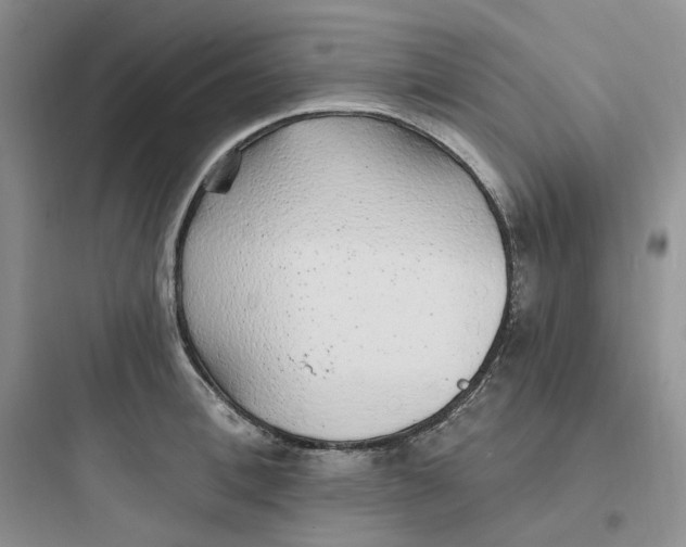 X0000097670996200803211938