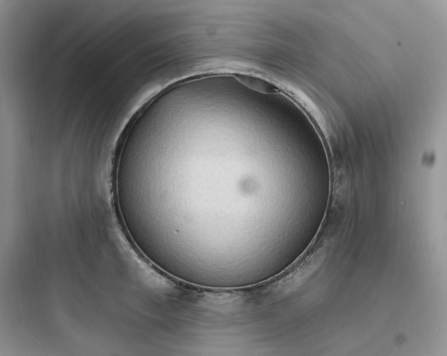 X0000097670997200803211938