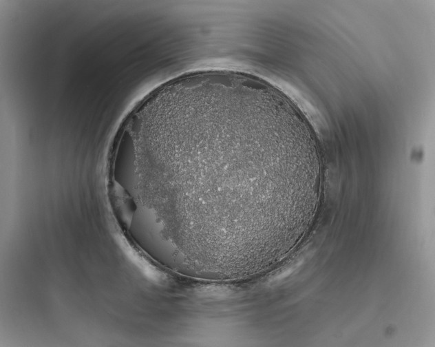 X0000097670998200803211938