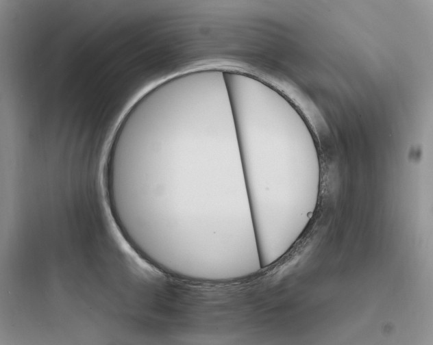 X0000097670999200803211938