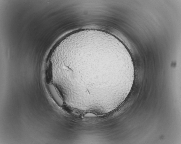 X0000097671000200803211938