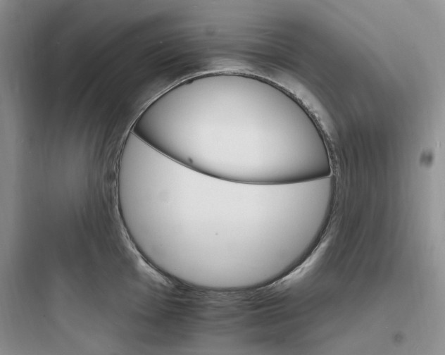 X0000097671001200803211938