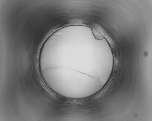 X0000097671002200803211938