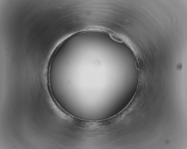 X0000097671003200803211938