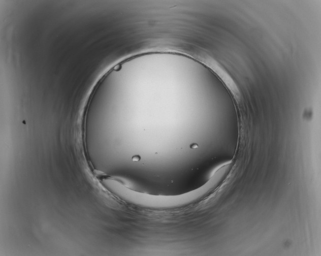 X0000097671004200803211938