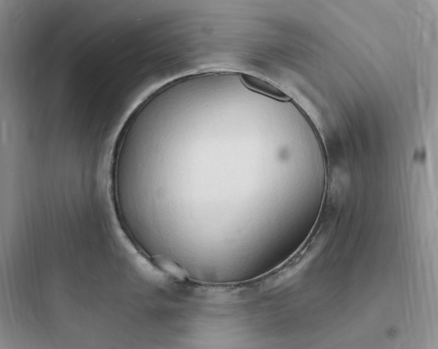 X0000097671005200803211938