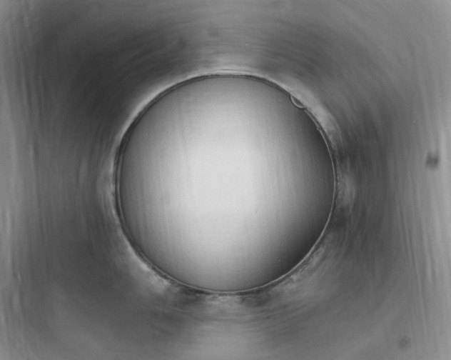 X0000097671006200803211938