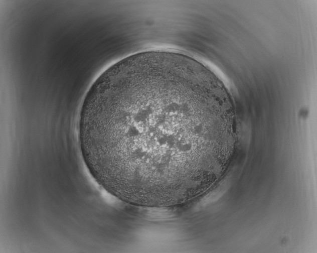 X0000097671007200803211938