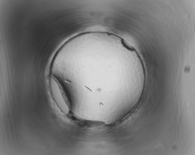 X0000097671008200803211938